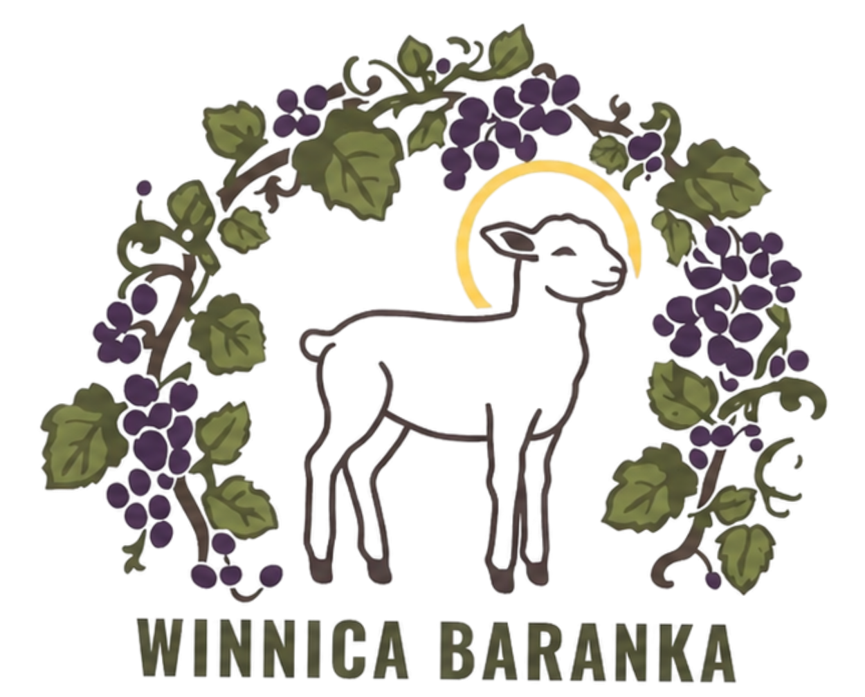 Winnica_Baranka